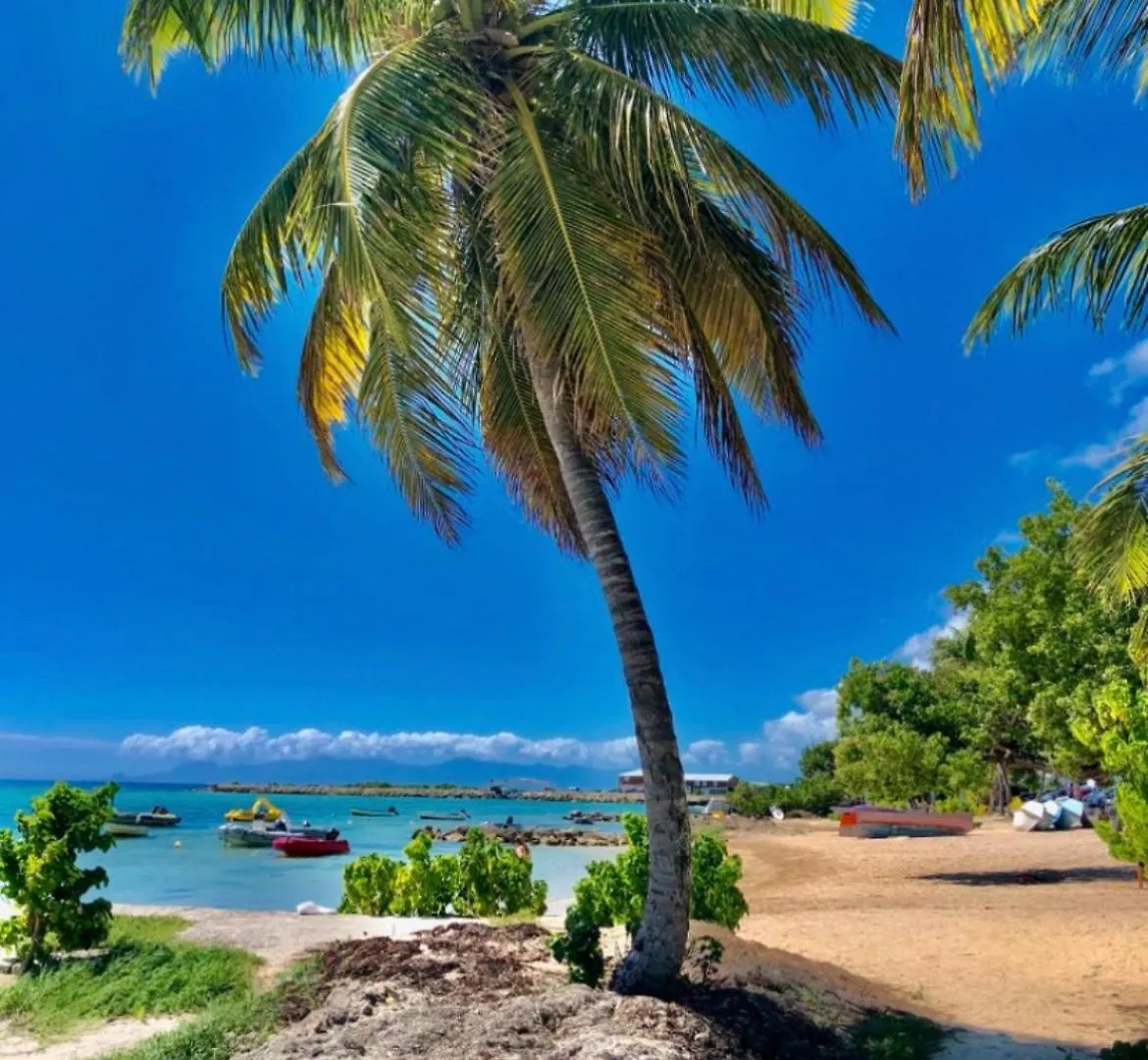 Coconuts Paradise Piscine Golf Avec Vue Panoramique Saint-Francois  0*, Saint-Francois (Grande-Terre)
